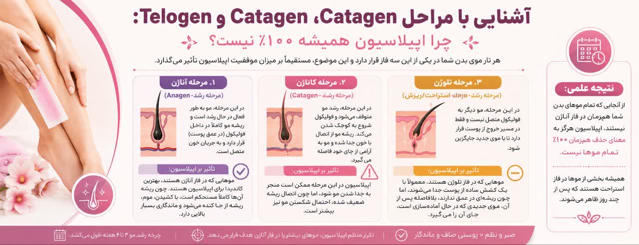 آشنایی با مراحل Anagen، Catagen و Telogen: چرا اپیلاسیون همیشه ۱۰۰٪ نیست؟